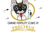 Clínica de fertilidad canina Precious Bull